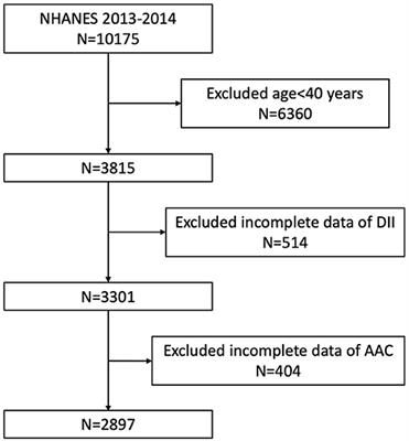 Greater Dietary Inflammatory Potential Is Associated With Higher Likelihood of Abdominal Aortic Calcification